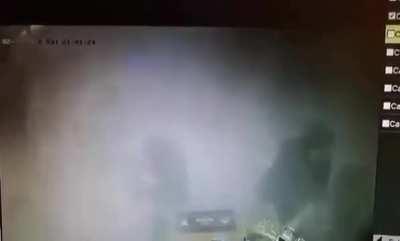 A dog accidentally sets off a fire extinguisher in a bar. 