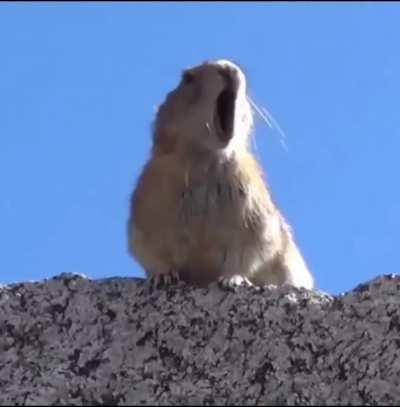 Perfect editing! ( Sound on )