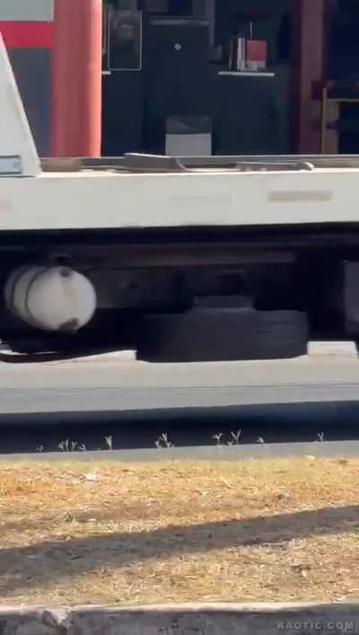 Methany Finds Her Way Home🤪