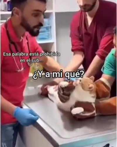 Una charla normal con los mods de r/Argentina