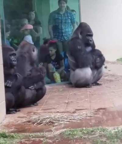 When you've just done your hair and makeup but need to go outside in the rain..