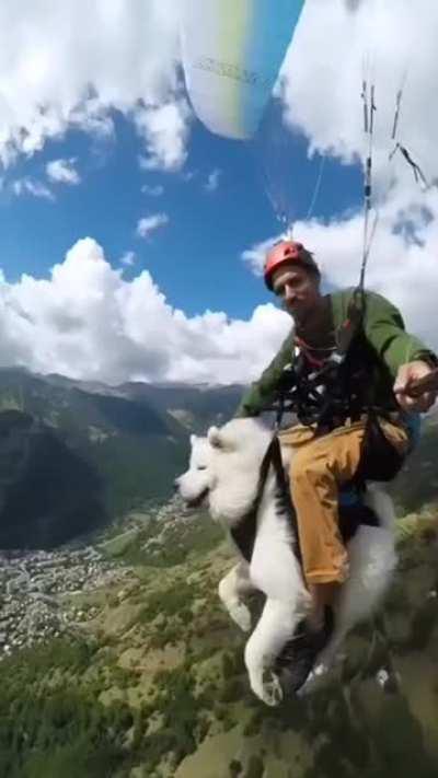 FFXIV Mounts in a nutshell