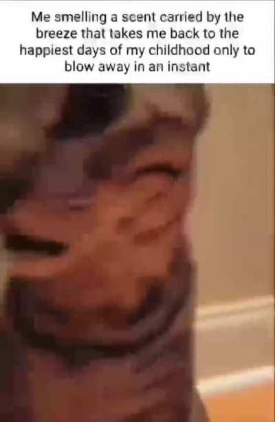 That smell, that damned smell