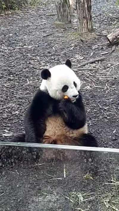 How did he catch it tho