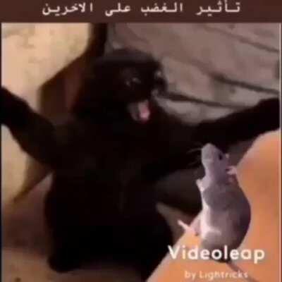 Ne diyim en iyisi yiyin sik dürüm