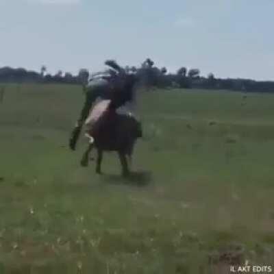 Qual seria sua opção?