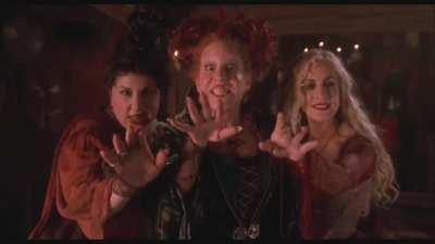 Hocus Pocus Video Background
