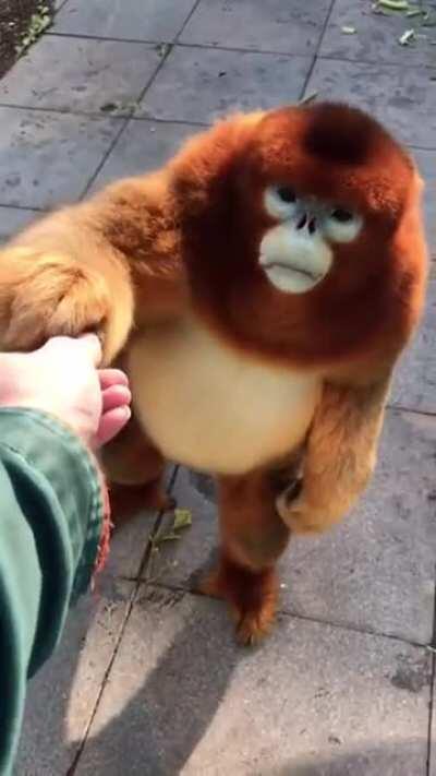 This little guy unsettles me...