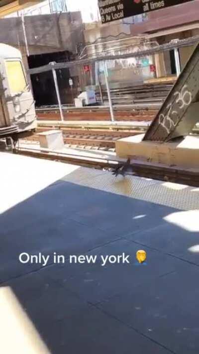 Only in New York👰🏾‍♂️