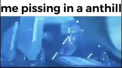 nature has an order.... a power to restore balance.