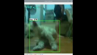[Update] NOT MAGIC_MIRROR but I managed to get my object tracker to track my dog! This is all running on my Pi4 2GB using TensorFlow Lite (tflite) and 2 servos to control the camera