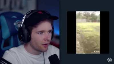 Danton going bazinga