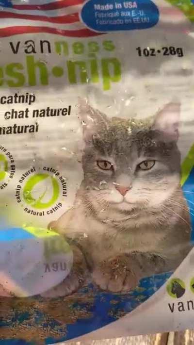 Different type of burnout.