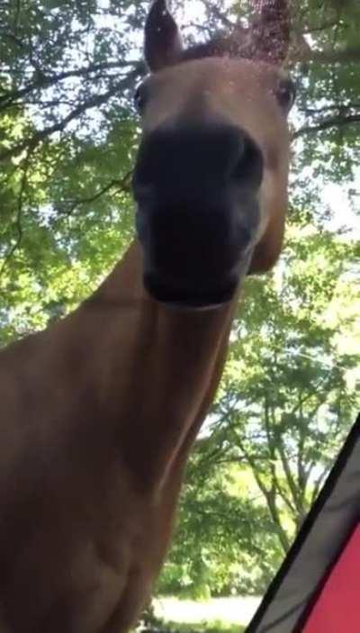 What does he want ???