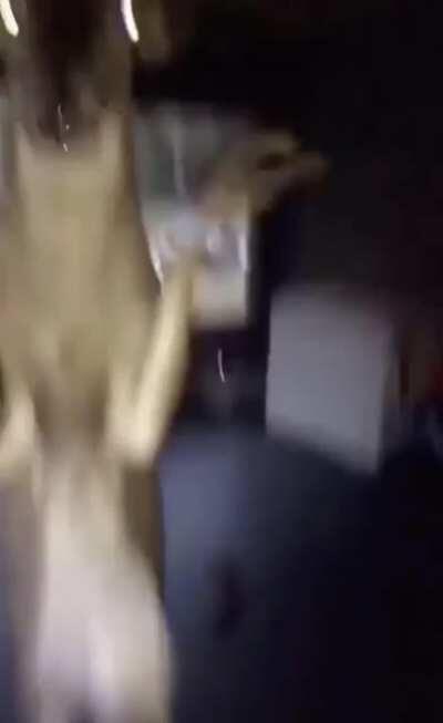 Mejor Pelea Jamas Antes Vista :0