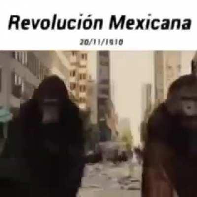 Monke revolution