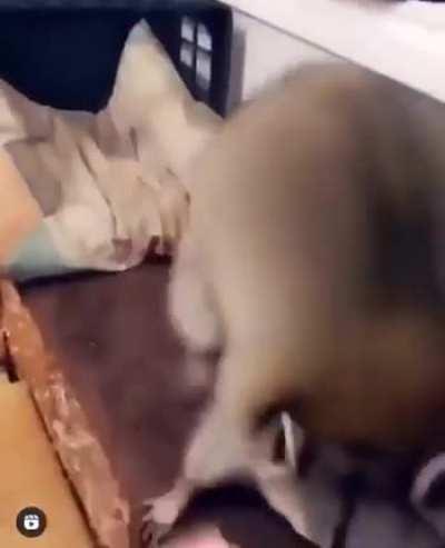 sorry if this is a repost