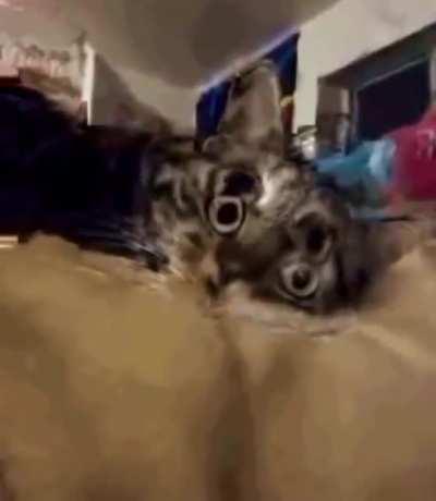 when those five fake ass tabs you ate, actually start kicking in.