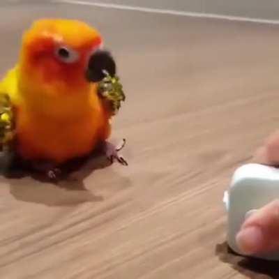 mission failed successfuly