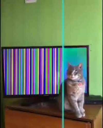 Funniest one so far tbh