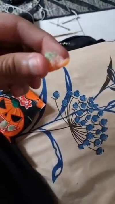 Espécie rara de abóbora.