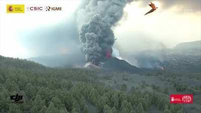 Viva Cristo rey 🙏🙏🙏