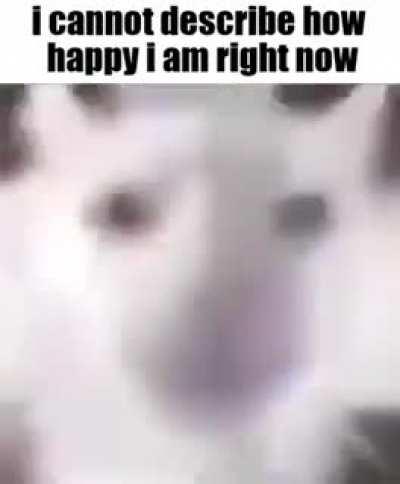 Today, I have given a drawing to my crush I dedicated for her and she liked it! I also asked for her phone number and she politely gave it to me! I'M SO GODDAMN HAPPY! 🥰🥰