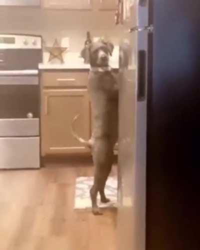 The main thing is to pretend that you are busy with everyday cooking!