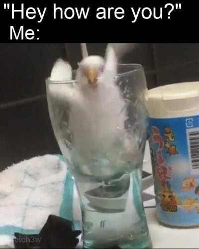 Visual representation of how its going