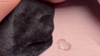 His 9inch BBC Was So Deep We Could Barely Get The Cum Out!