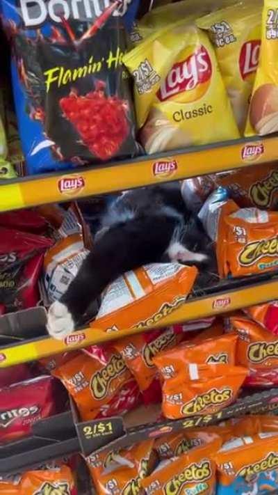 potato chip sales rep slacking on the job