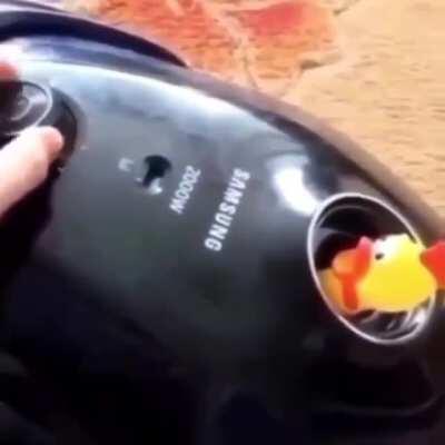 AAAAAAAAAAAAAAAAAAAA