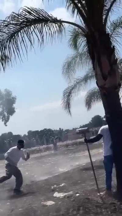 I have no idea what they're doing here and I want no part of it