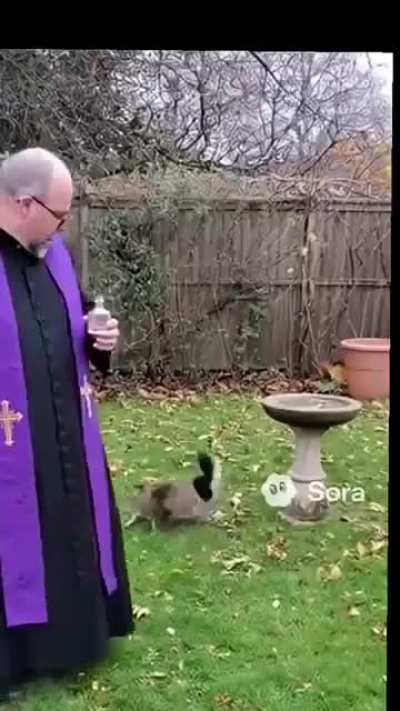 Italians when people Try to use something different on pizza 🍕