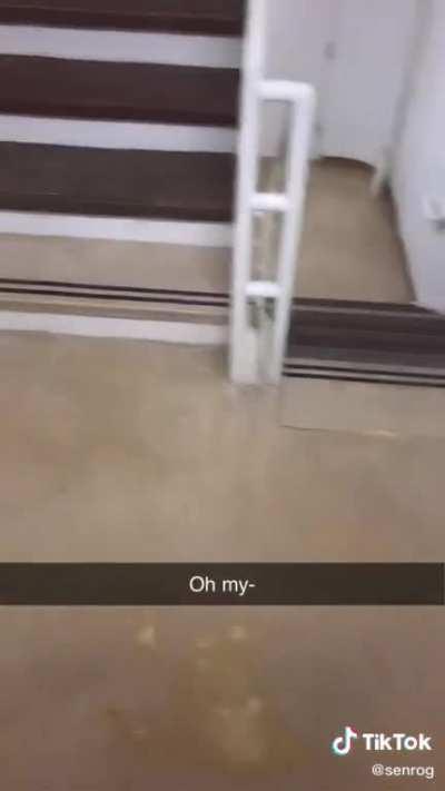 Trying to climb steps without touching them