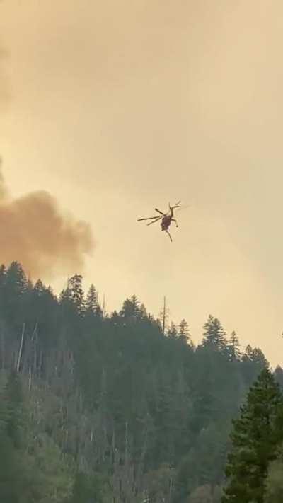 My husband got a sweet video of this sky crane dousing flames on the Trinity River in California this week.