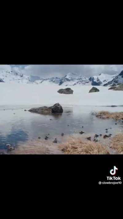 It’s Wednesday my dudes