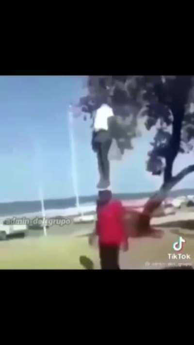 creanme mario es real