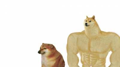 Le meme behind the scenes