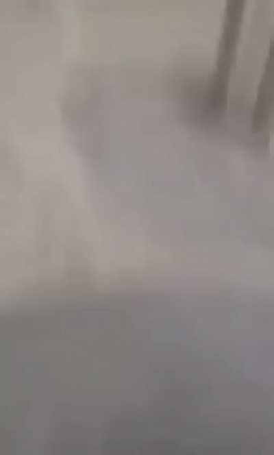 Лучший фокус с исчезновением в истрии😂