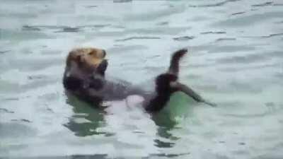 Getting beach body ready