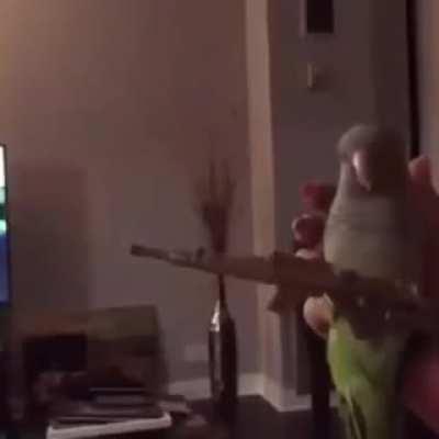 Militarized Drone Declassified