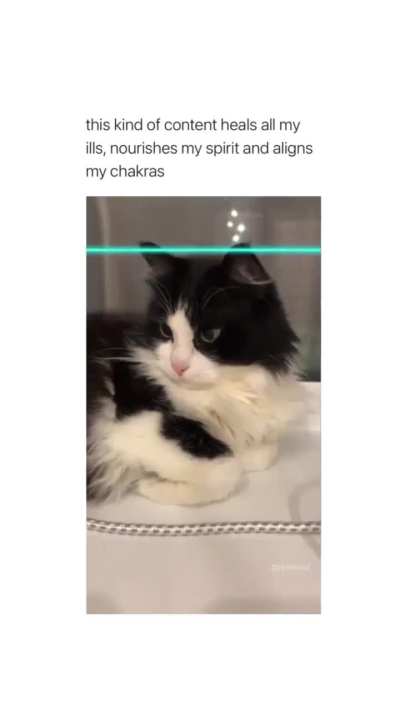 🤌🏻