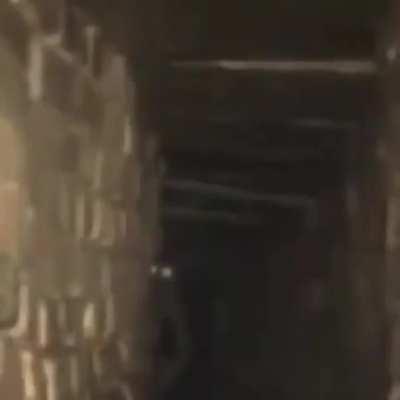 MoldyMemes - Video #7394