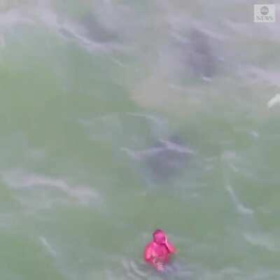 This dude is about to buy an entire store's supply of aloe vera