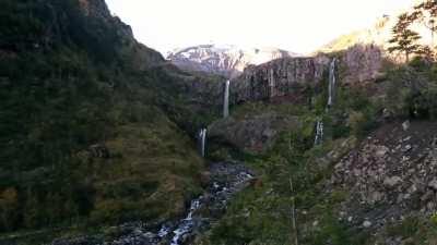 No soy un perro pero guau. Fuente:  