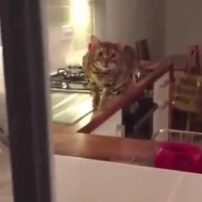 The last thing you ever see