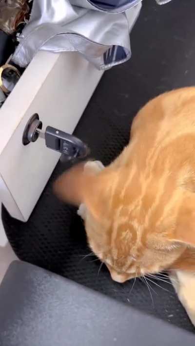 Wunk’s engine is idling