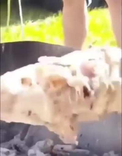 I like my pork torqued 