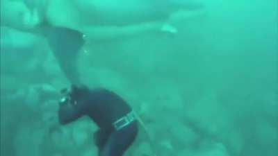 This is our worst fear, right?